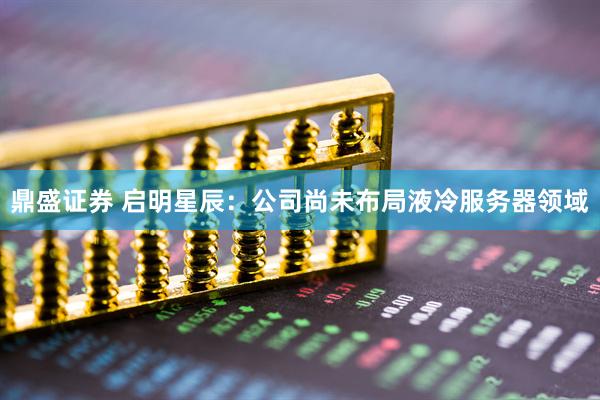 鼎盛证券 启明星辰：公司尚未布局液冷服务器领域