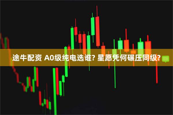 途牛配资 A0级纯电选谁? 星愿凭何碾压同级?