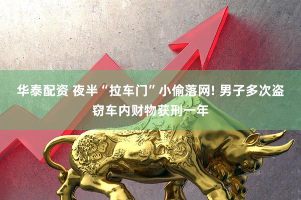 华泰配资 夜半“拉车门”小偷落网! 男子多次盗窃车内财物获刑一年