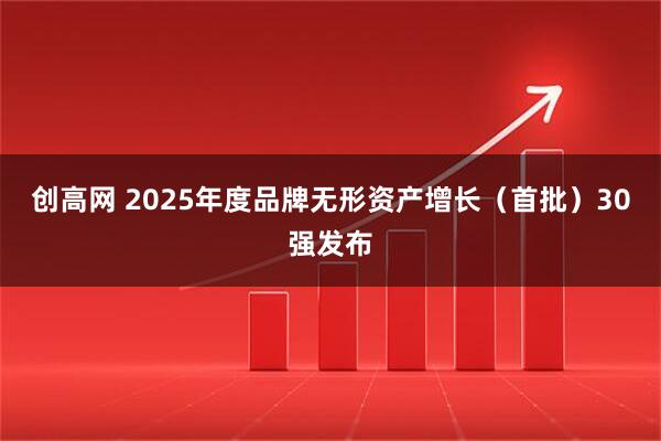 创高网 2025年度品牌无形资产增长（首批）30强发布