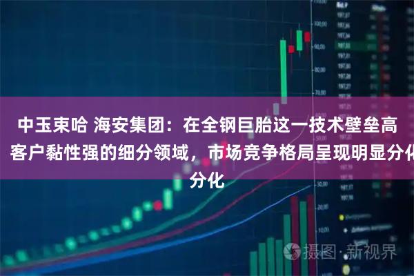 中玉束哈 海安集团：在全钢巨胎这一技术壁垒高、客户黏性强的细分领域，市场竞争格局呈现明显分化