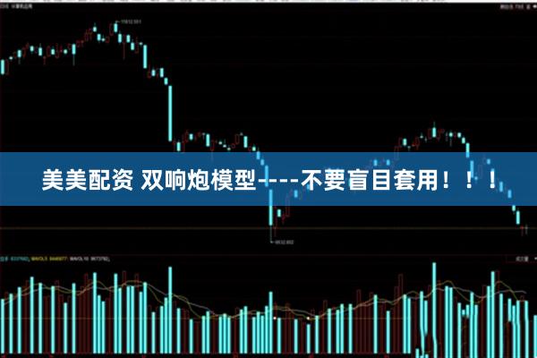 美美配资 双响炮模型----不要盲目套用！！！