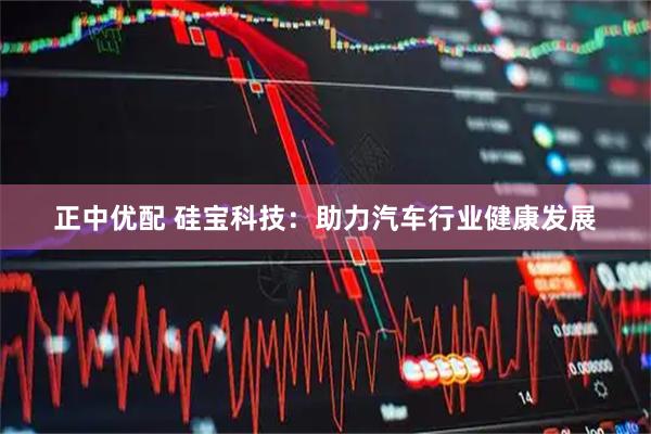 正中优配 硅宝科技：助力汽车行业健康发展