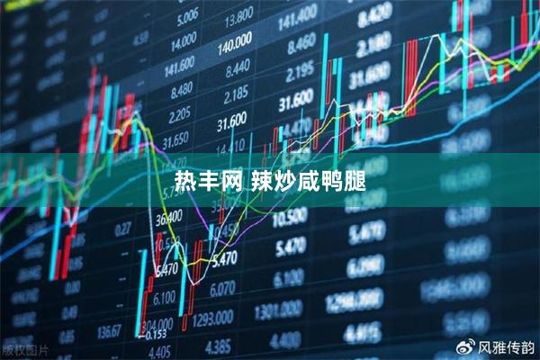 热丰网 辣炒咸鸭腿